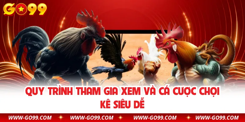 Quy trình tham gia xem và cá cược chọi kê siêu dễ